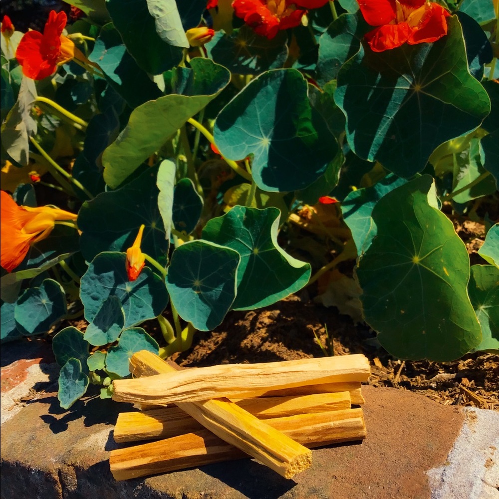 Palo Santo Wood Stick (one)